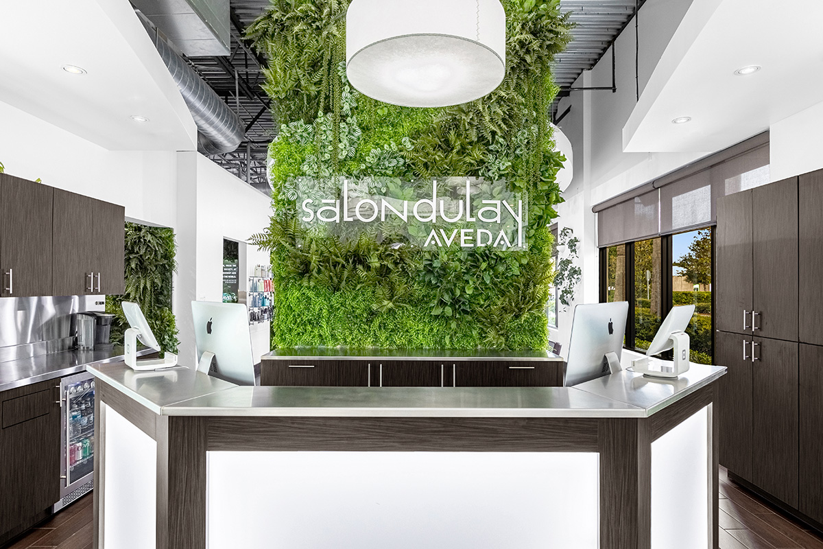 Introductory Offer | Salon Dulay