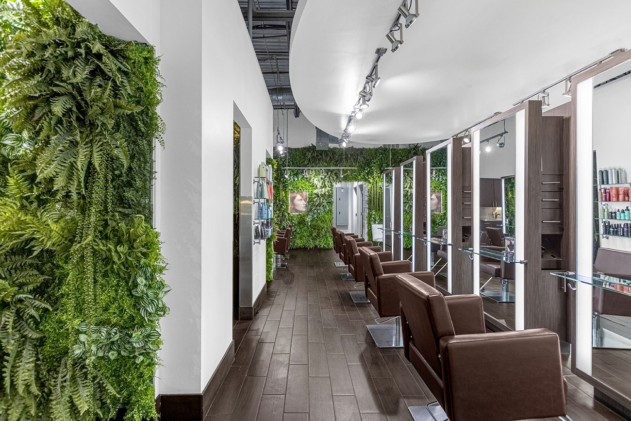 Introductory Offer | Salon Dulay