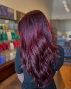 Person with long, wavy, dark reddish-purple hair facing away from the camera in a salon setting. - Salon Dulay, FL