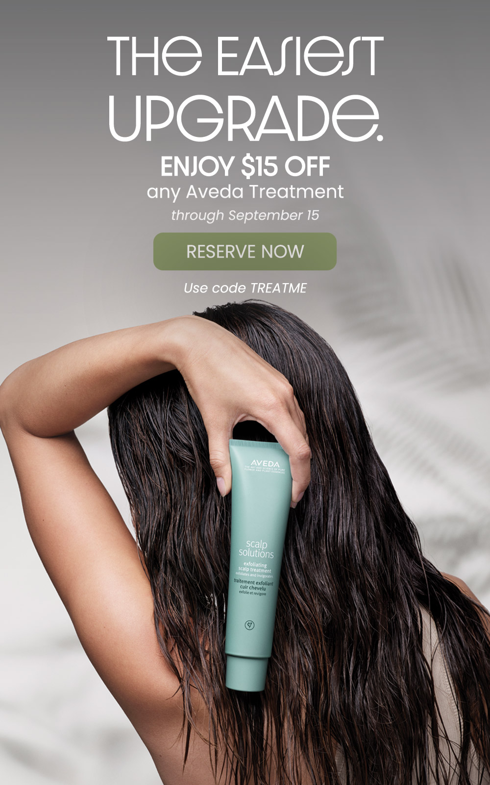 Summer Treatments 2026 - Salon Dulay